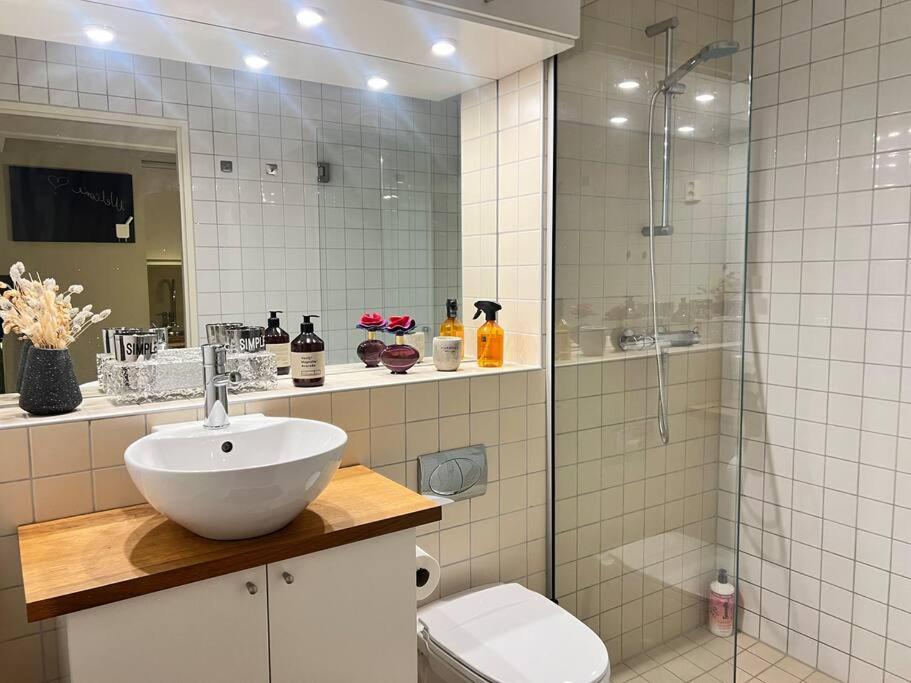 Koselig Leilighet I Sentrum Av Oslo Med Byutsikt! Ngoại thất bức ảnh