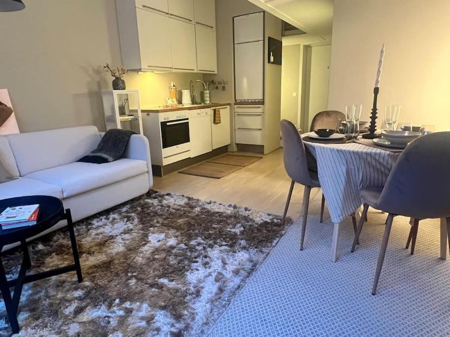 Koselig Leilighet I Sentrum Av Oslo Med Byutsikt! Ngoại thất bức ảnh